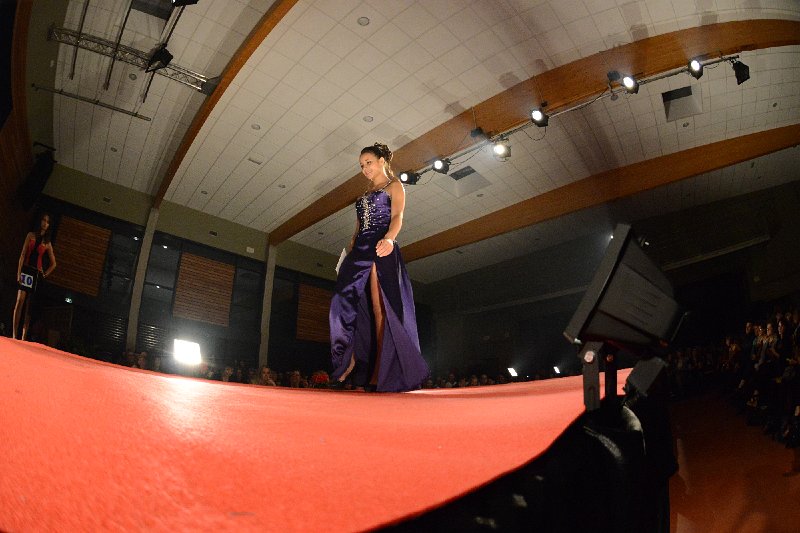 DSC_2477.JPG